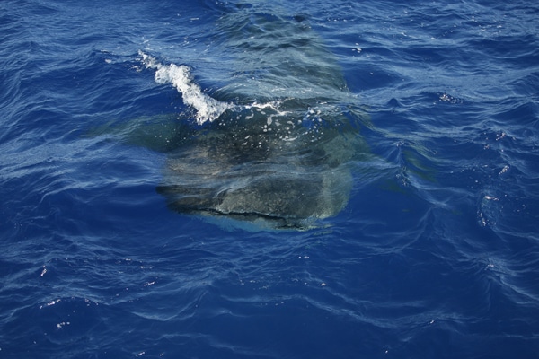 84-ri7u4746.jpg