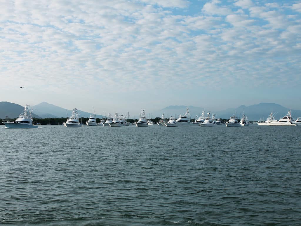 great barrier reef tournament teams line up