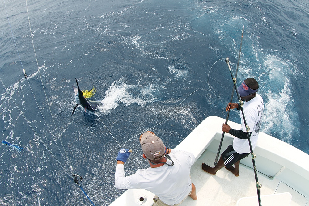 West Africa Marlin Fishing | Marlin