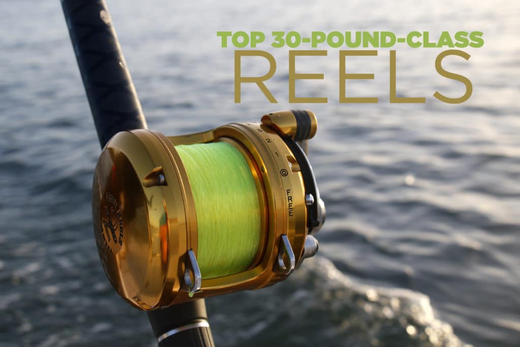 How to Pick the Best Saltwater Fishing Rods