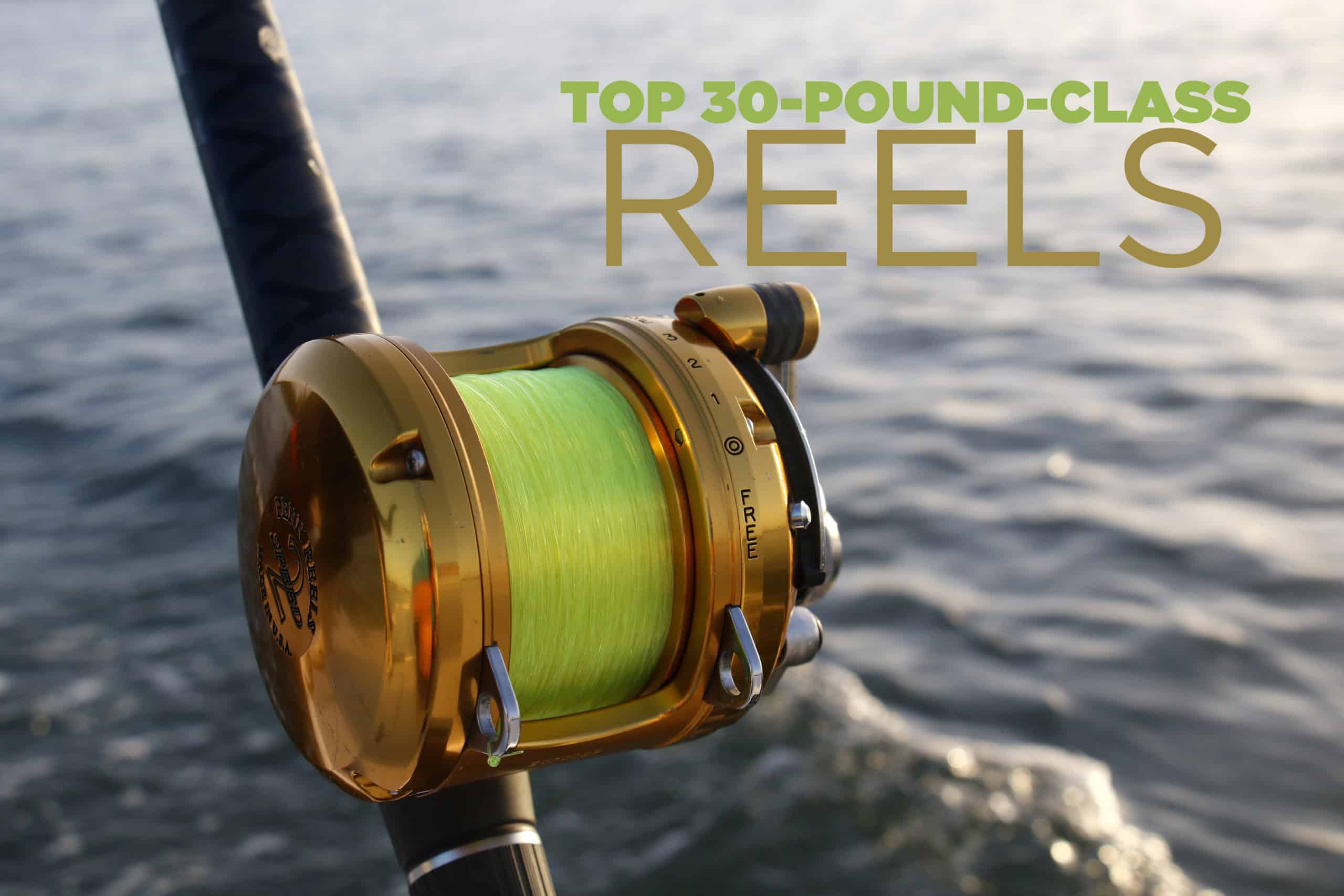 Best 30 Pound Offshore Reels, Two Speed Saltwater Conventional Reels
