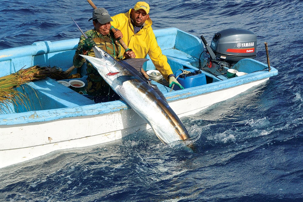 FADs of the Dominican Republic