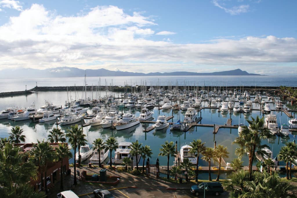 Boats docked in a marina