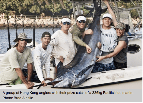 Hong Kong Blue Marlin