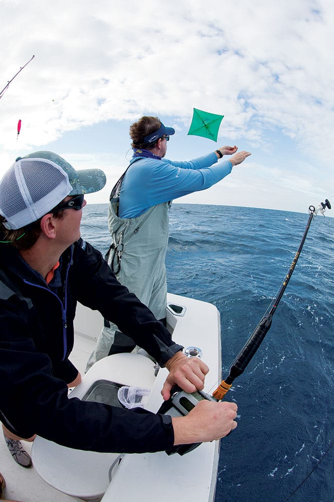 kite-fishing for sailfish