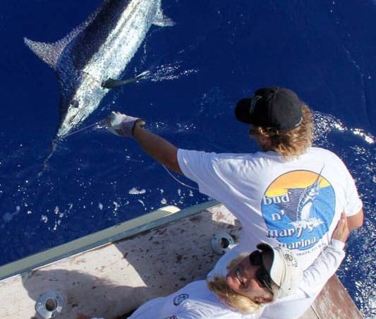 Nancy Bennett_Blue Marlin