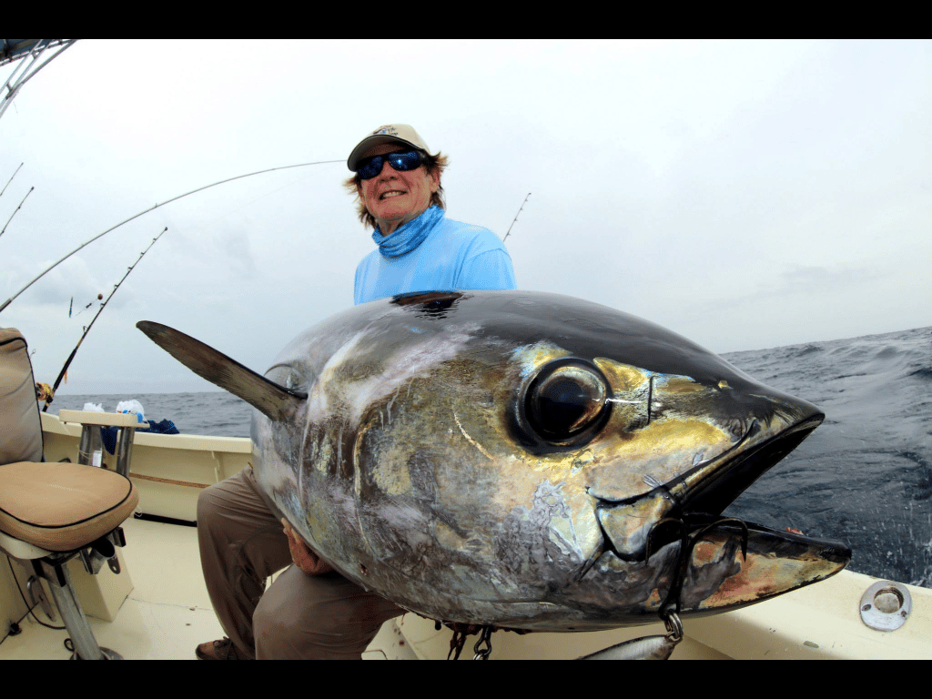 Tuna Raleigh Werking