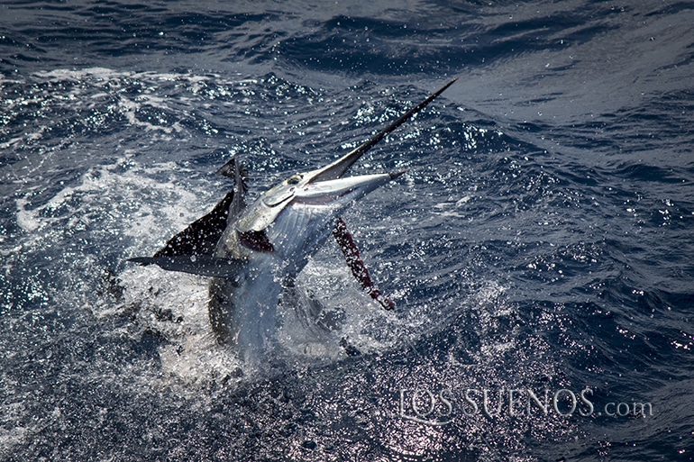 2017 Los Suenos Signature Triple Crown Leg 1 Costa Rica