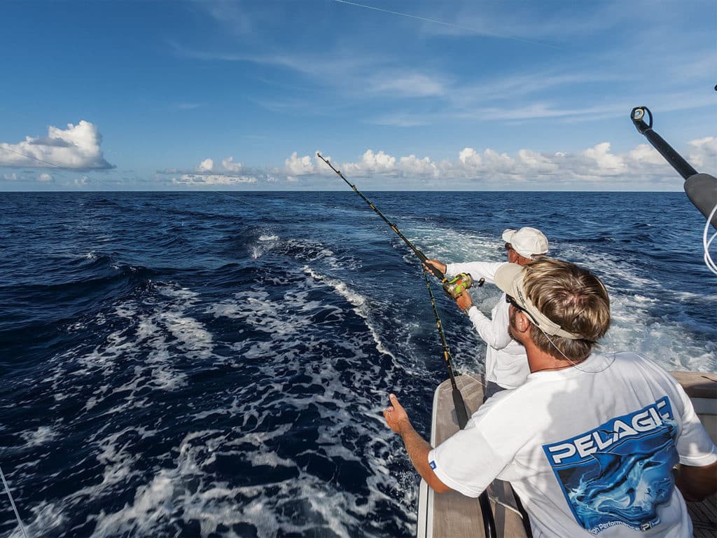 two men pitch-baiting for angler