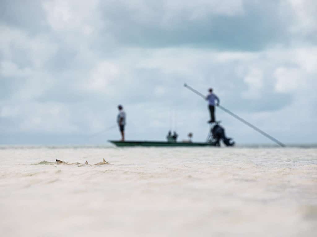 Anglers poling through the bonefish flats of the Bahamas.