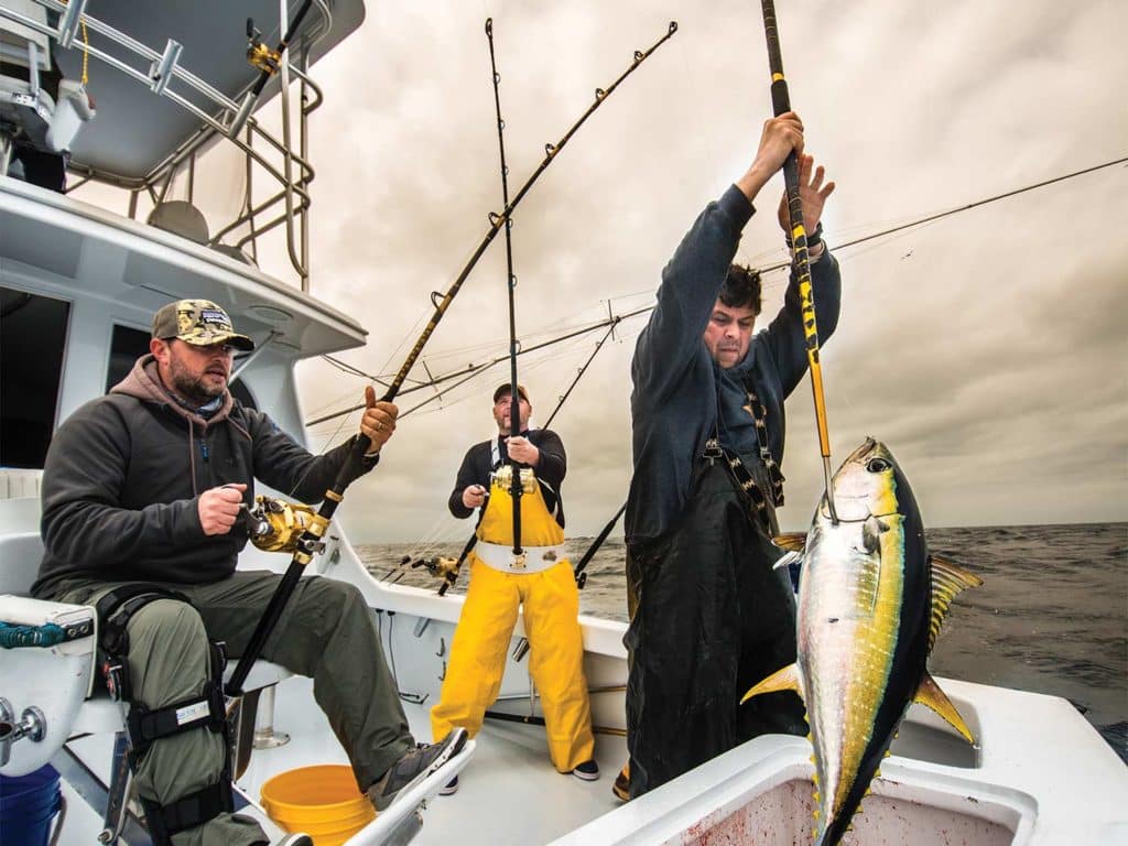 A sport fishing team pulls a large yellowfin tuna onto the boat.