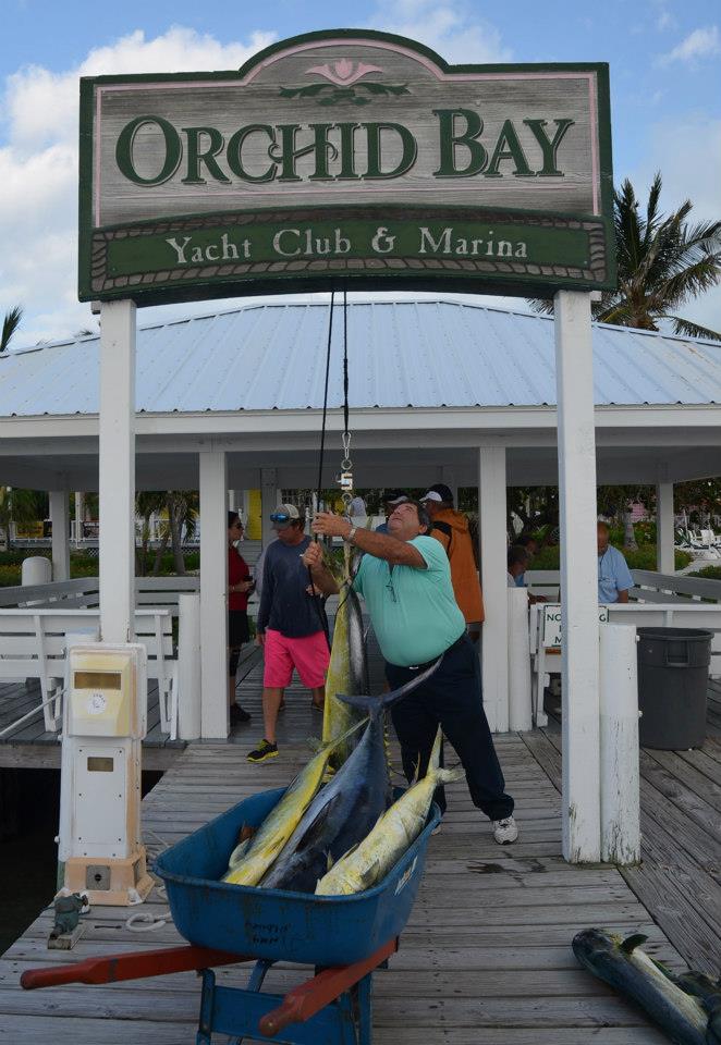 bahamas-billfish-championship-leg-1-0301.jpg