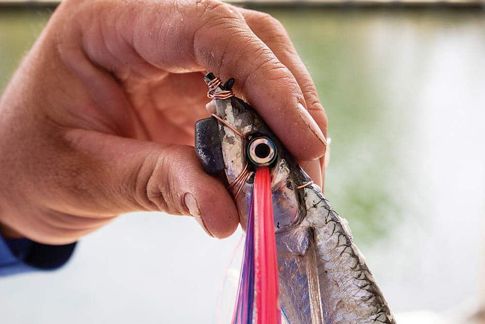 Dress Up Your Dead-Bait Spread With These Rigging Techniques