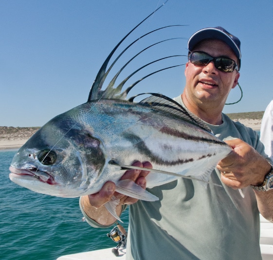 Baja Bounty pic 1