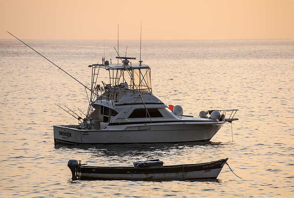 bertram yacht on the water