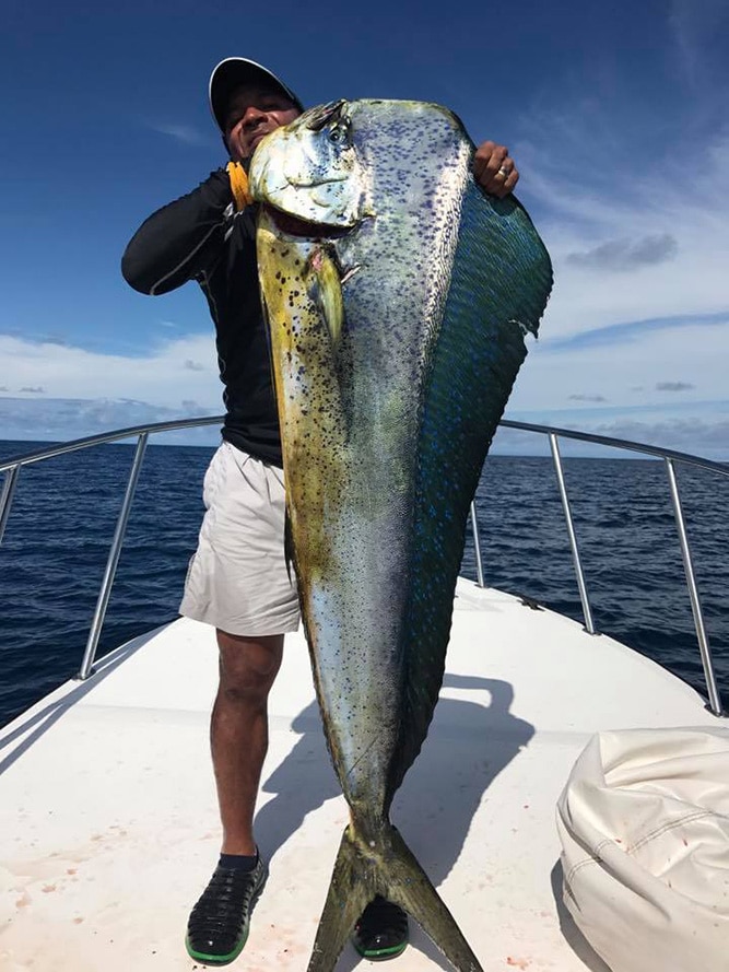 big dolphin catch