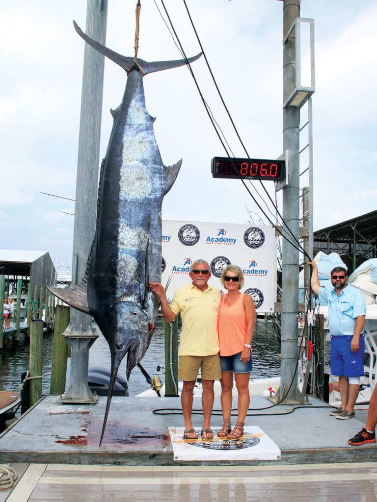 big blue marlin caught in tournament