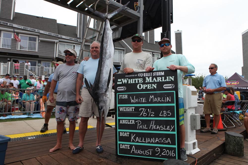 Phillip Heasley Kallianassa White Marlin Open 2016