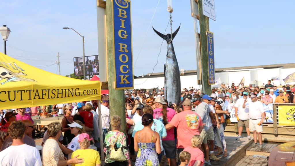 Big Rock Blue Marlin Tournament