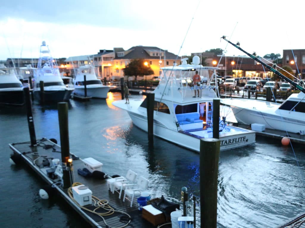 Big Rock Blue Marlin Tournament