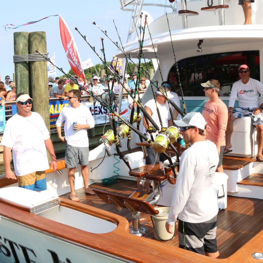 Big Rock Blue Marlin Tournament Marlin
