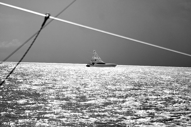 billfishing-boat.jpg
