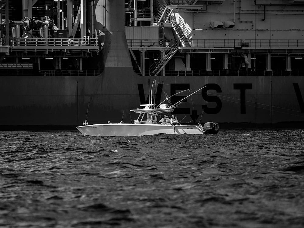marlin sailfish fishing from a center console boat