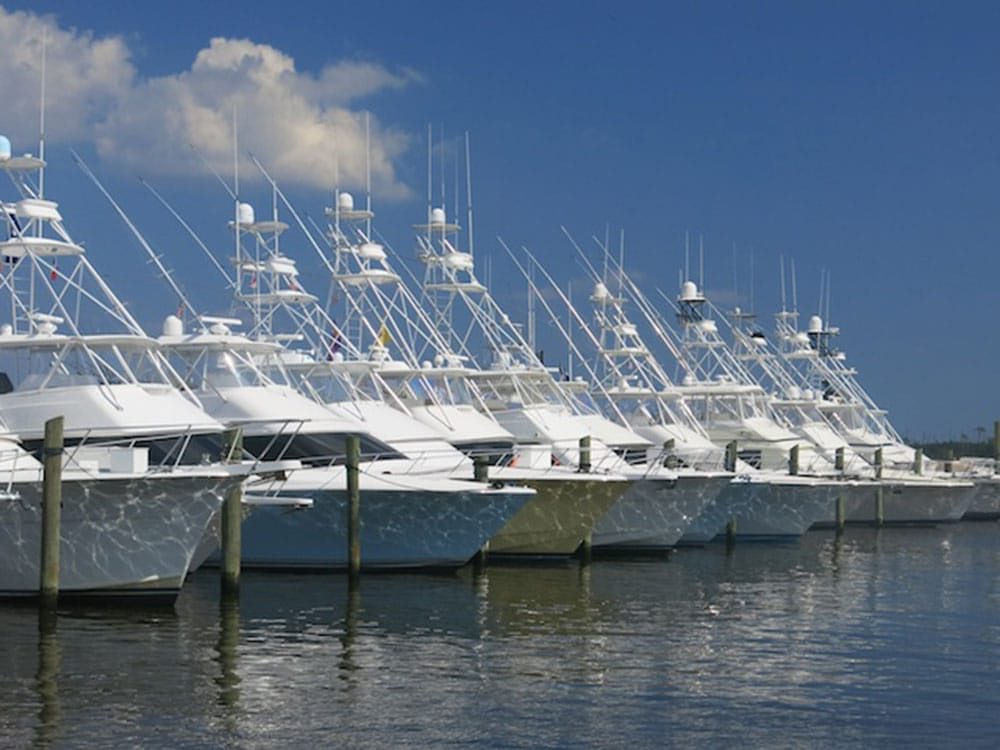 2017 mississippi gulf coast billfish classic fleet of boats