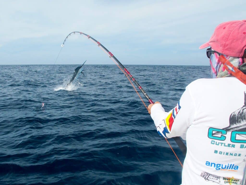 martin arostegui black marlin on fly australia