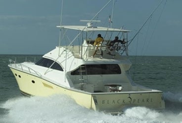black-pearl-368.jpg