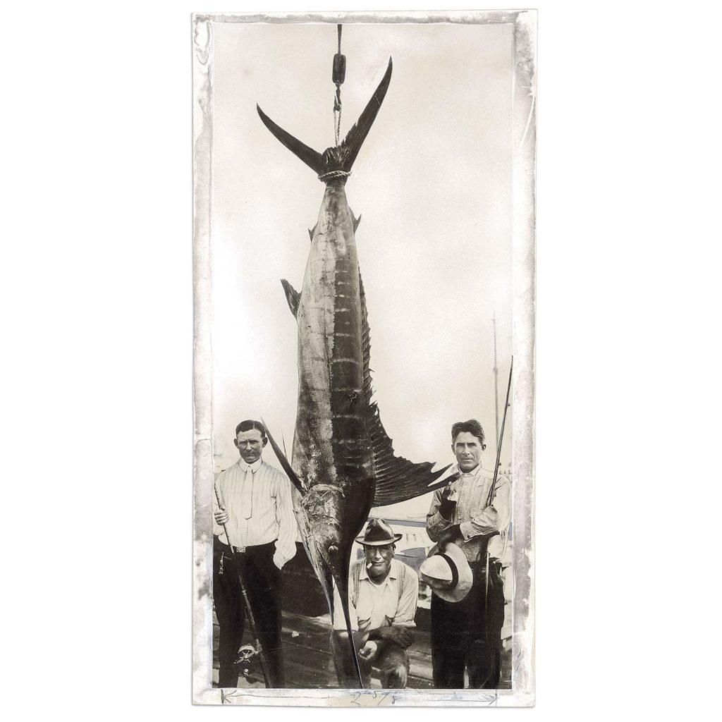 A black and white image of three men standing beside a large marlin hanging from a deck.