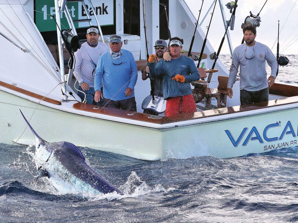 blue marlin jumping beside the boat