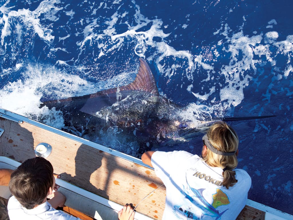 Blue Marlin Fishing Hawaii