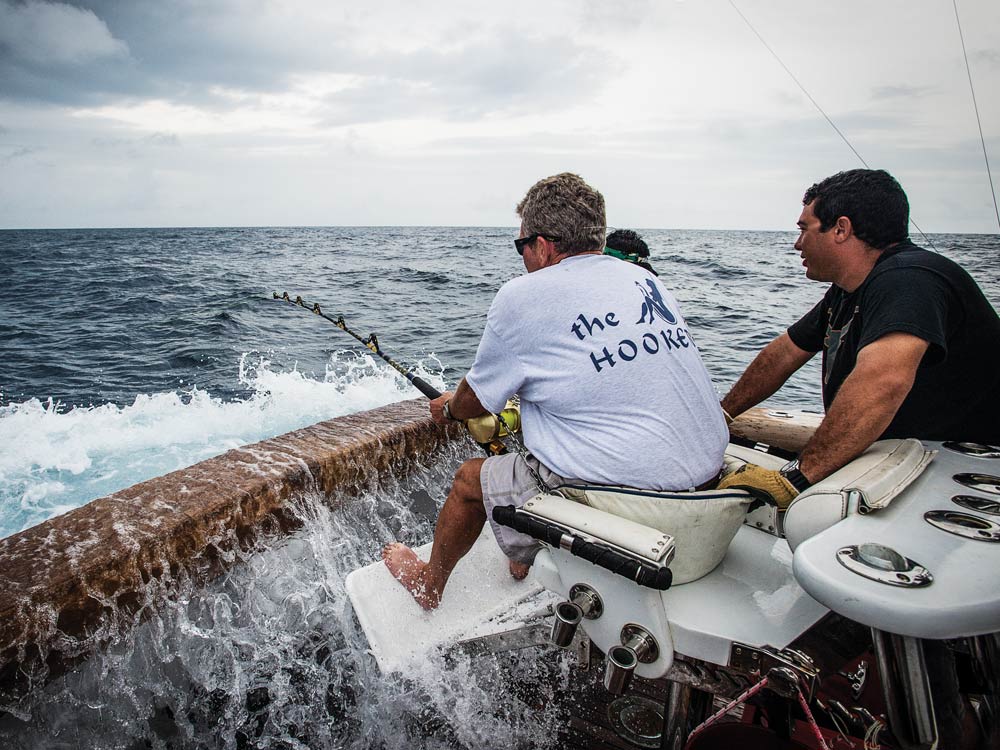 fishing for blue marlin