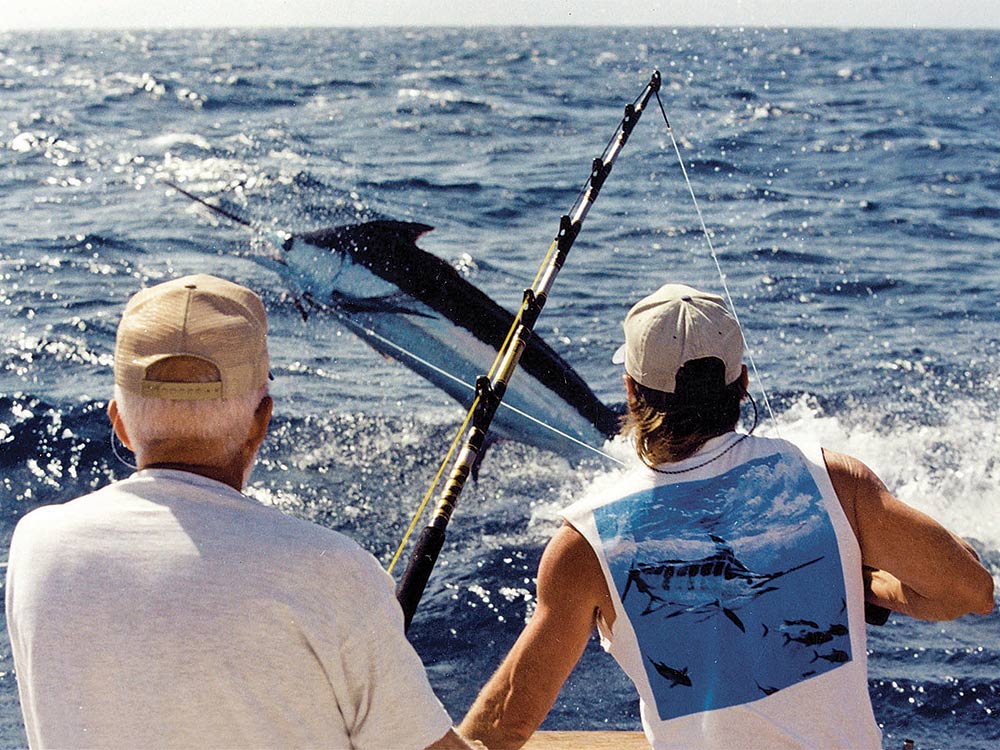 blue marlin on leader