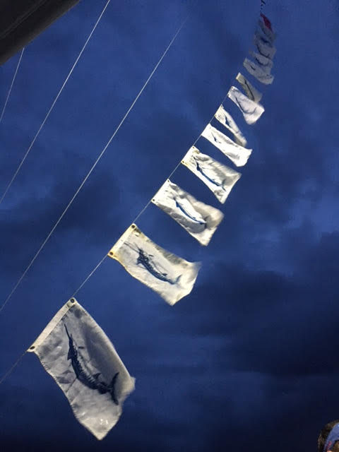 blue marlin release flags