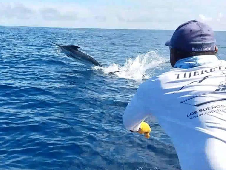 Blue Marlin Fishing at Costa Rica’s Offshore Seamounts | Marlin