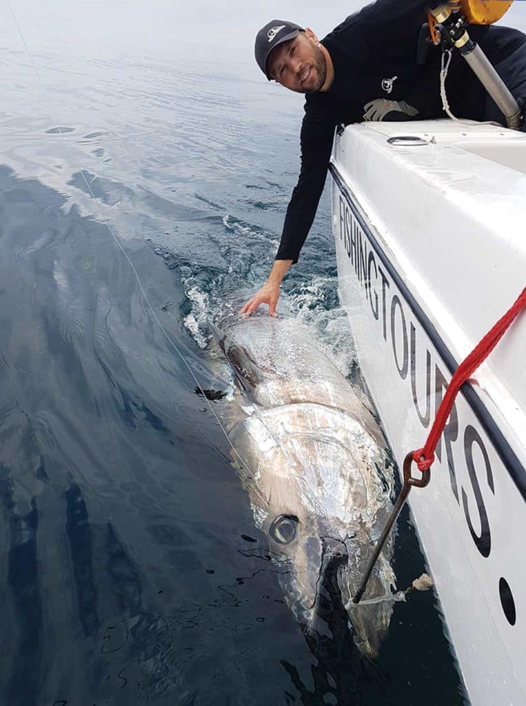 bluefin tuna fishing in denmark