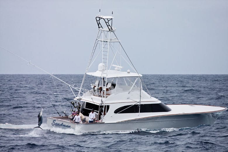 Top Female Anglers Marlin