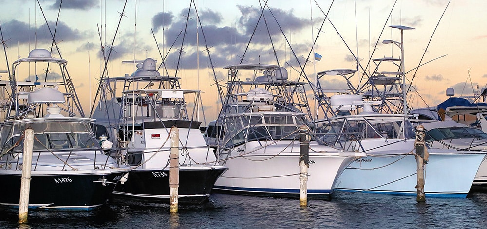 sport-fishing boats at docks