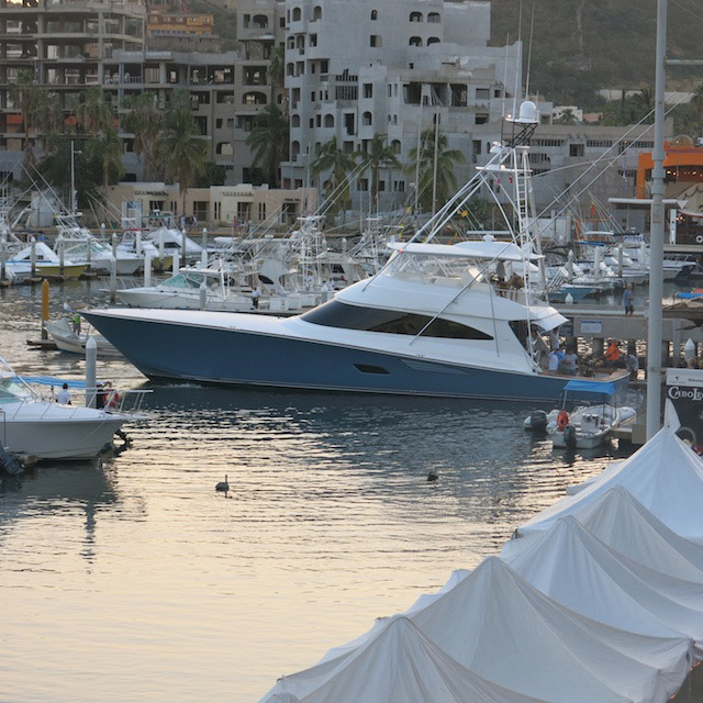 boats at docks during Black & Blue Tournament