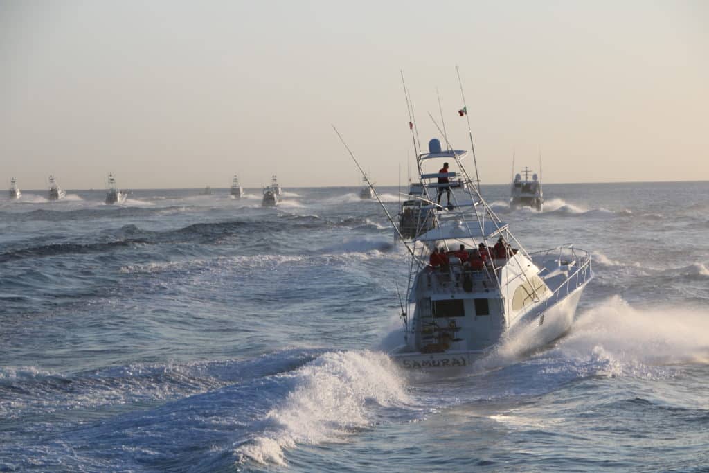 bisbees fleet