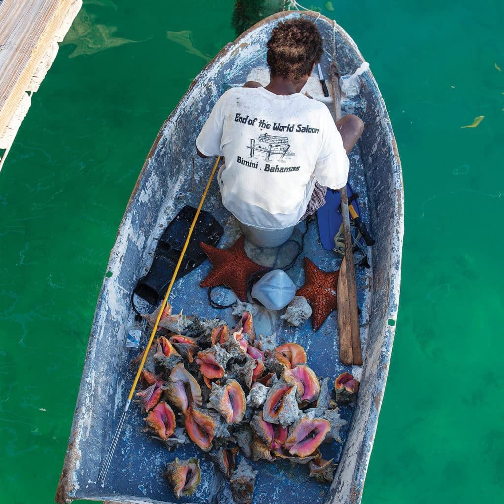 A person in a small boat collects conch.