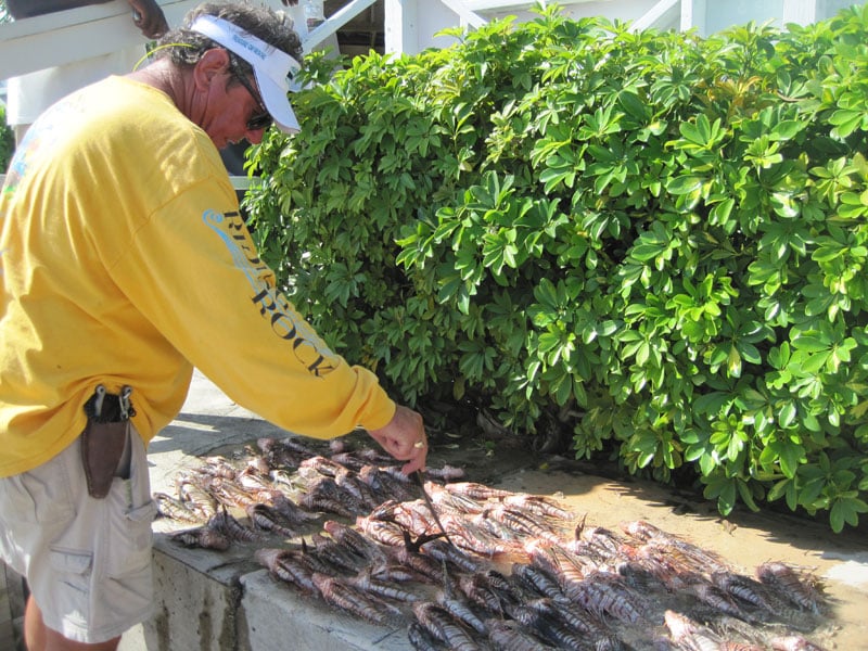 bob-wolsey-counts-lionfish.jpg