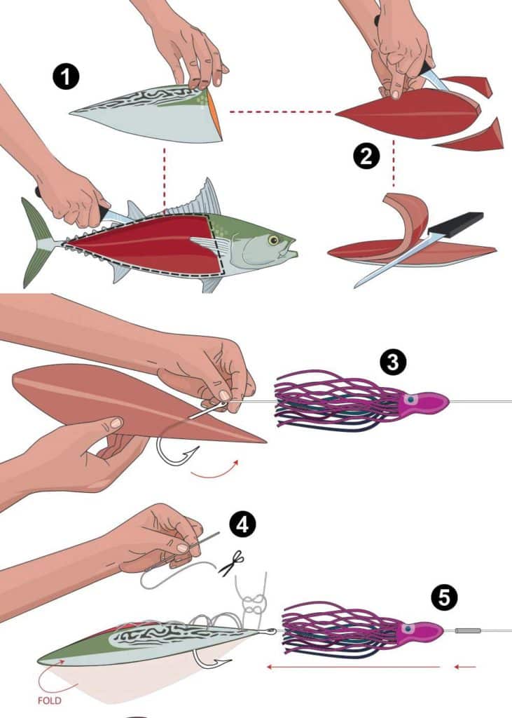 bonito taco fillet-rigging