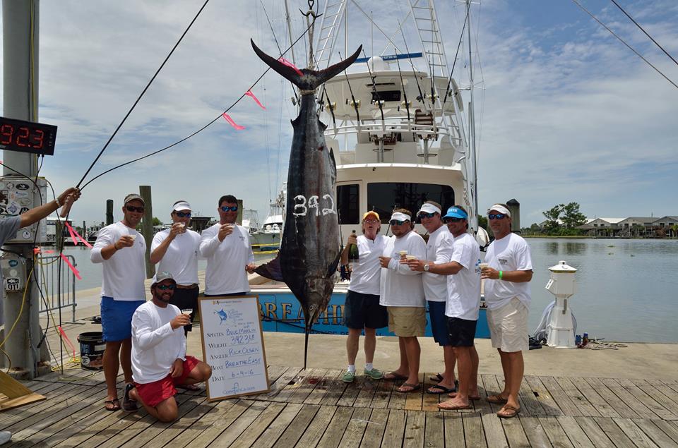 2016 Cajun Canyons Breathe Easy third place blue marlin