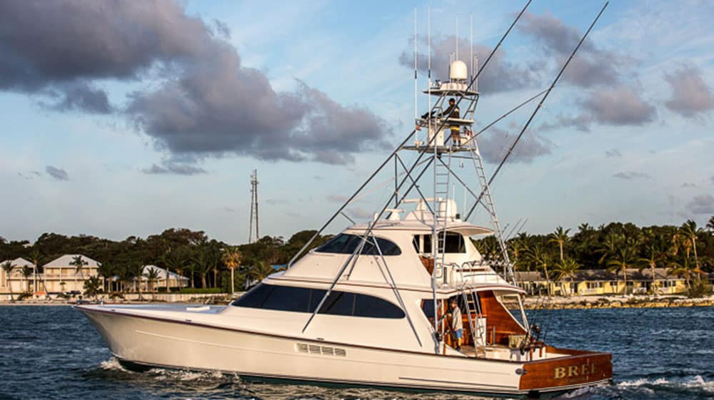 2017 White Marlin Roundup bree