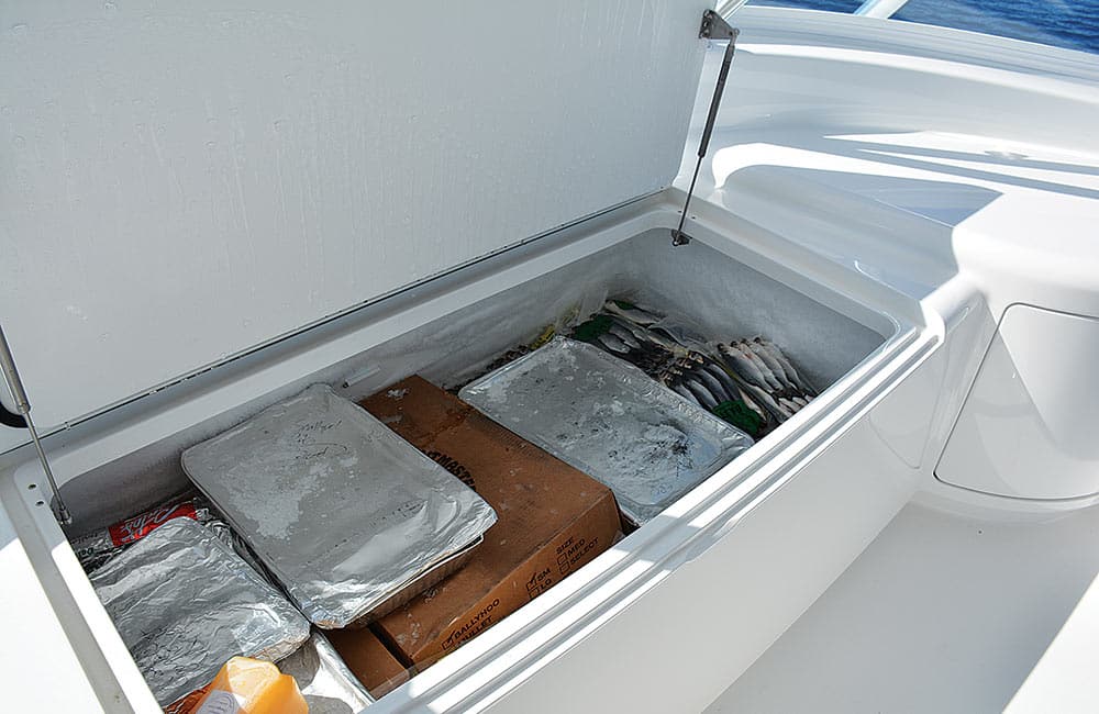 bridge freezer on a sportfisher