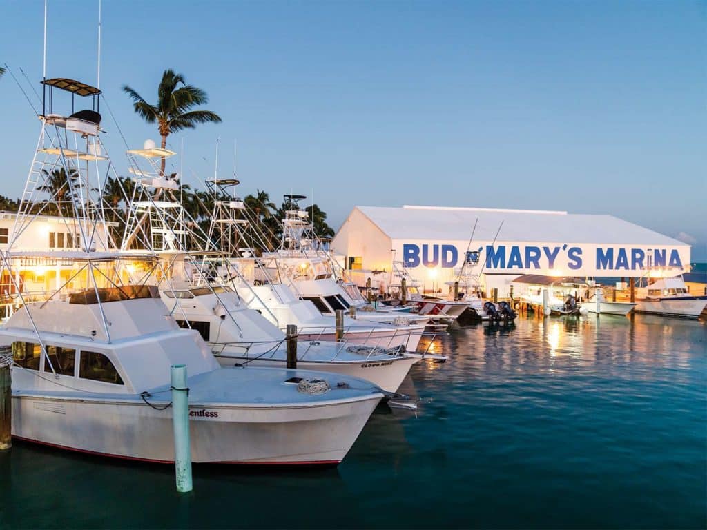 A fleet of sport-fishing boats docked at the Bud & Mary's Marina.