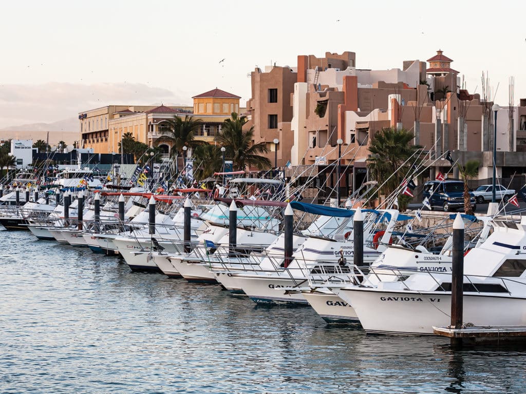 A fishing marina full of boats in Cabo San Lucas, Mexico.